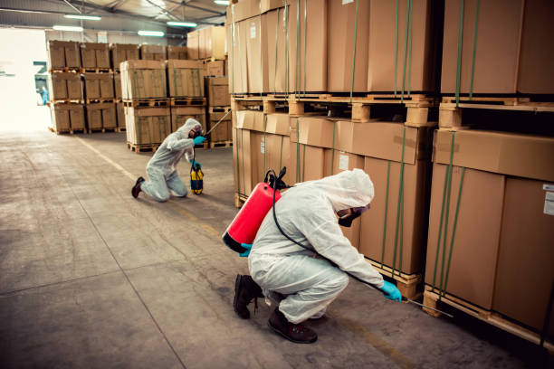 Best Pest Prevention Services  in Ash Flat, AR