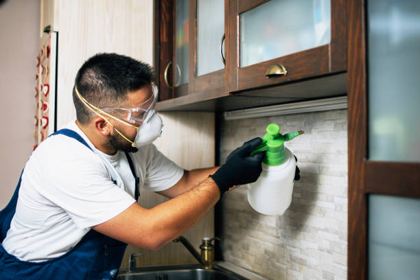 Pest Control Cost in Ash Flat, AR