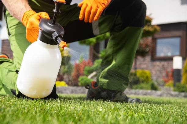 Best Pest Control for Restaurants  in Ash Flat, AR