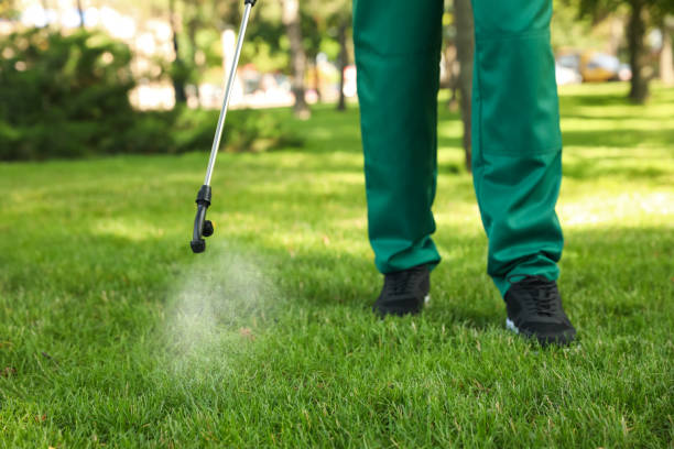Best Cockroach Control Services  in Ash Flat, AR