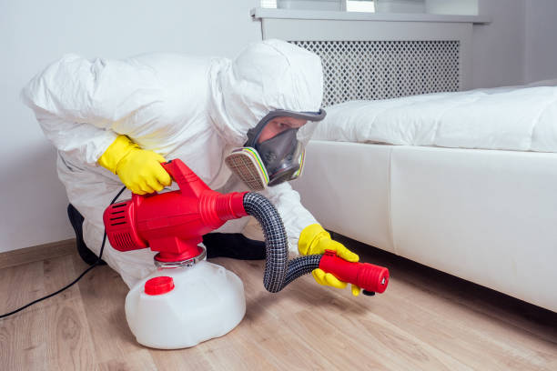 Best Cockroach Control Services  in Ash Flat, AR