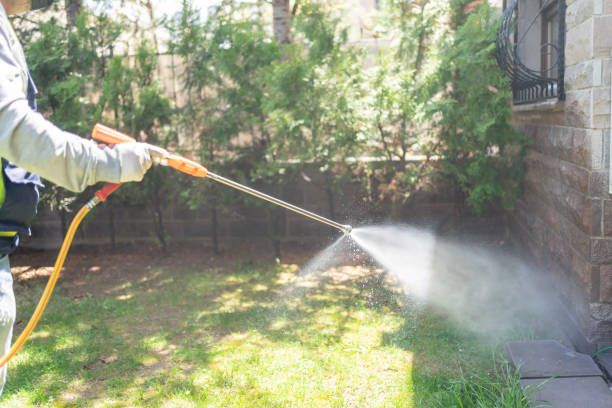 Best Local Pest Control Services  in Ash Flat, AR