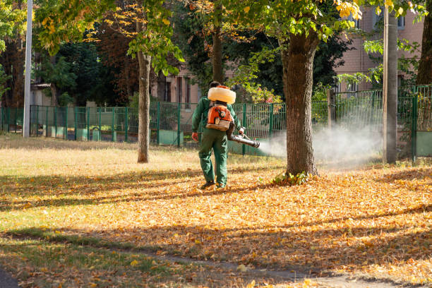 Best Wildlife Control Services  in Ash Flat, AR
