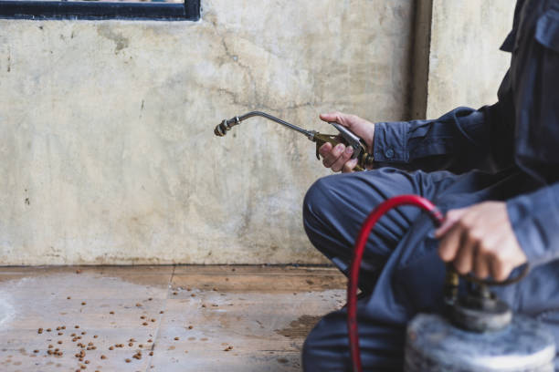 Best Best Pest Control Companies  in Ash Flat, AR