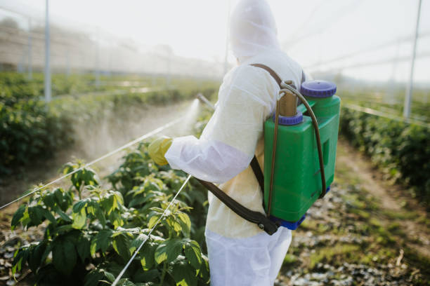 Best Best Pest Control Companies  in Ash Flat, AR